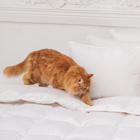 AMZ PREMIUM GOLD poduszka 100% puchu gęsiego | Expert Snu