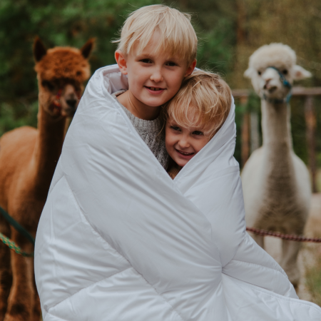 Kołdra naturalna AMZ Alpaka | Kołdry - Expert Snu