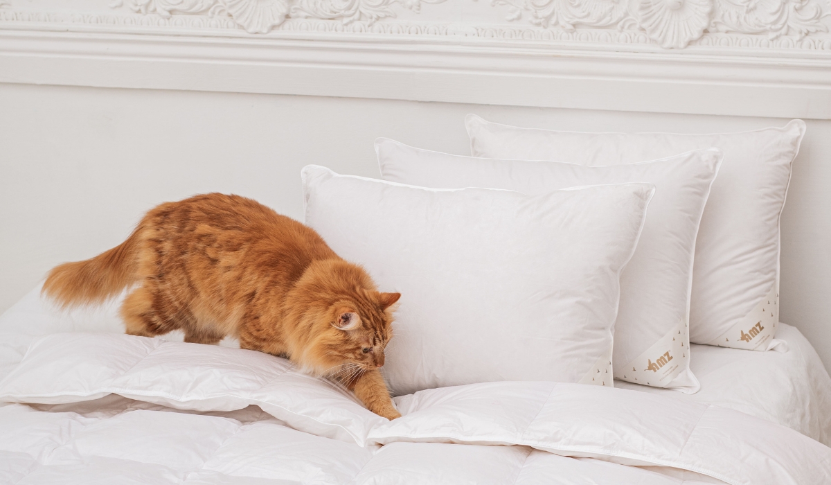 Poduszka Premium Gold