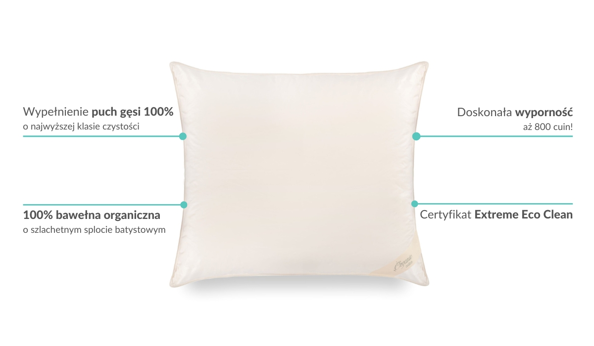 Dlaczego warto kupić poduszkę Organic Cotton