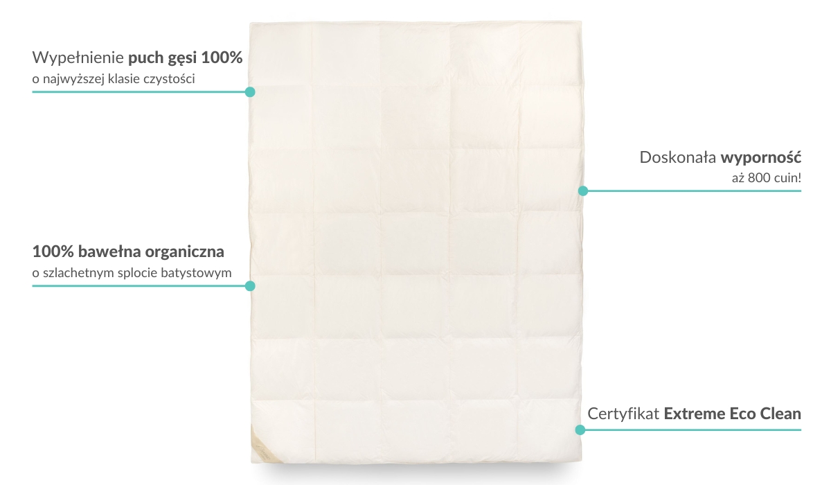 Dlaczego warto kupić kołdrę Organic Cotton