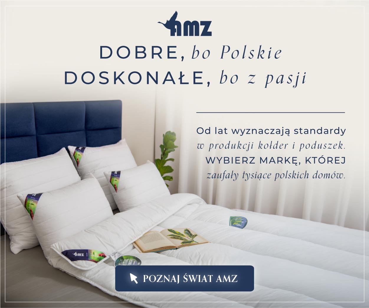 AMZ