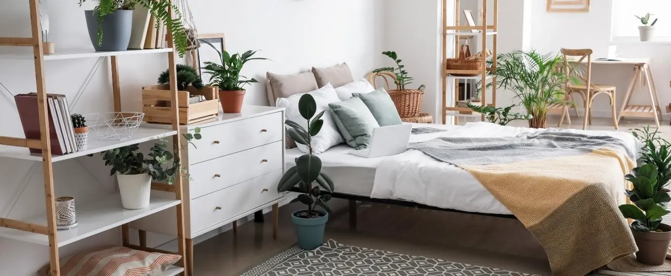 Jakie rośliny warto mieć w sypialni?